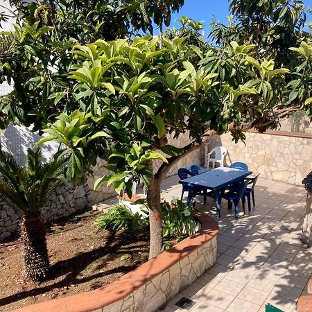 Trullo Il Nespolo Διαμέρισμα Αλμπερομπέλο Εξωτερικό φωτογραφία