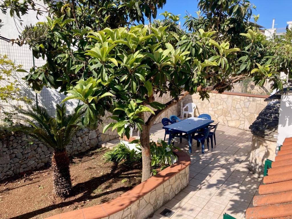 Trullo Il Nespolo Διαμέρισμα Αλμπερομπέλο Εξωτερικό φωτογραφία